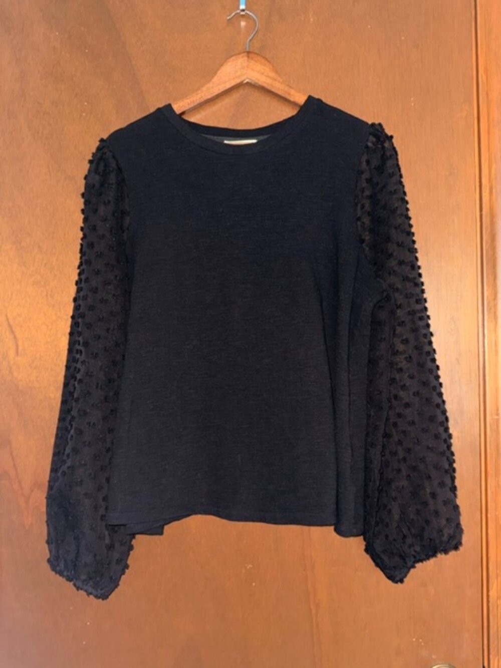 Anthropologie Maeve Textured Sleeve Blouse